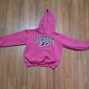 Champion Kids Pink Hoodie